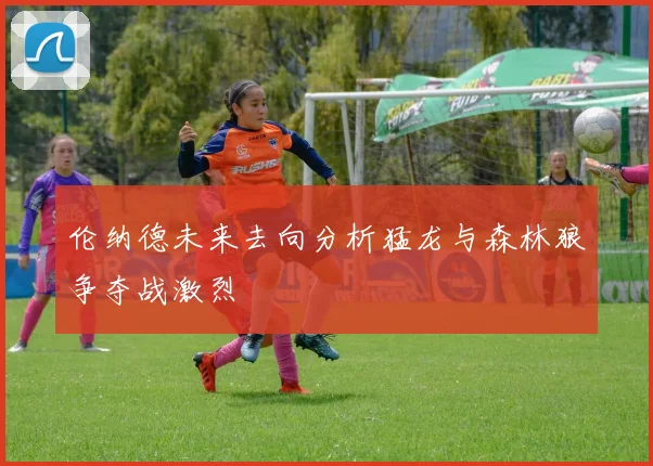伦纳德未来去向分析猛龙与森林狼争夺战激烈
