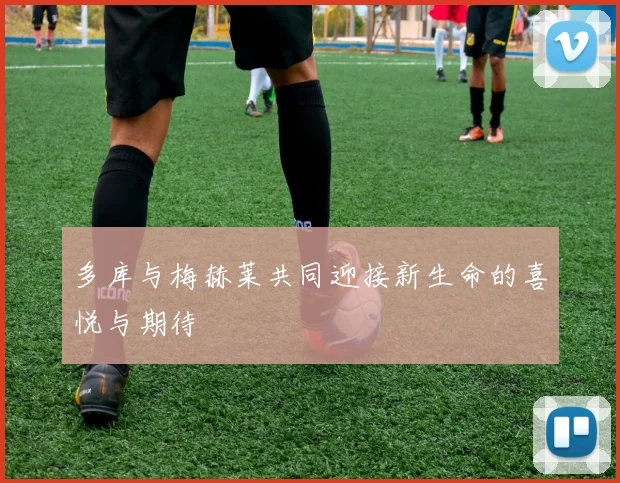 多库与梅赫莱共同迎接新生命的喜悦与期待